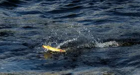 DSCN2337.webp