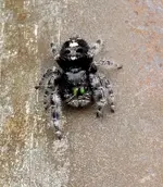 DSCN2354.webp