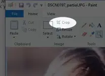 crop.webp