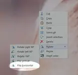 mirror.webp