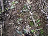 DSCF9713.webp DSCF9713.webp
