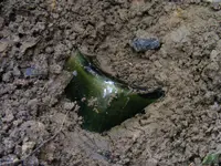 DSCF9716.webp