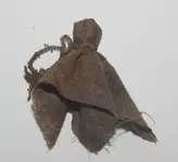 DSCN6690.webp