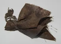 DSCN6691.webp