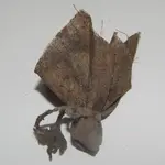 DSCN6692.webp
