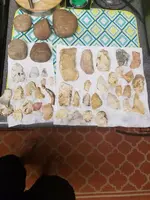 20170709_003139.webp