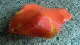 IMAG4695.webp IMAG4695.webp