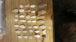 20170621_171128.webp