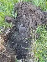 20170525_181733.webp