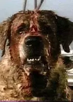 cujo.webp