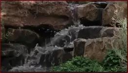 Water.webp