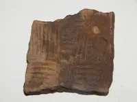 DSCN6699.webp