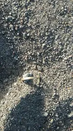 20170730_080117_resized_1.webp
