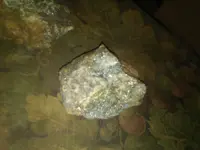 20170730_122844.webp