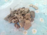 IMG_20170730_190521.webp