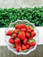 image.webp image.webp