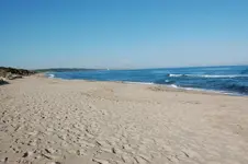61130724.webp