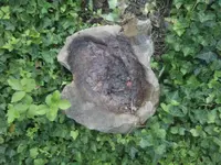 IMG_20170711_204519.webp
