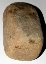 DSCN6365.webp