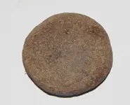 DSCN6326.webp