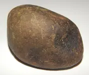 DSCN6372.webp