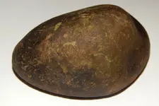 DSCN6373.webp