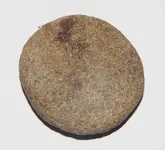 DSCN6329.webp