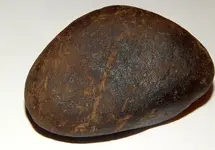 DSCN6374.webp