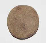 DSCN6330.webp