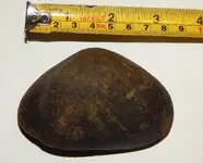DSCN6377.webp