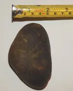 DSCN6378.webp