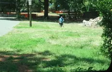 IMG_20170806_122321_596-1.webp