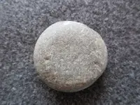 DSCN5109.webp