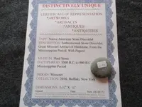 DSCN5111.webp