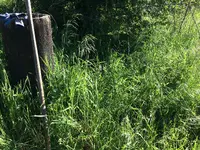 IMG_1296.webp IMG_1296.webp