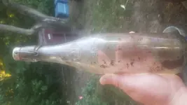 20170730_200450.webp