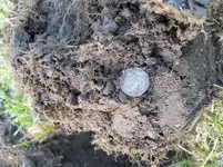 20170614_192648.webp