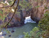 new thunder cove 033.webp new thunder cove 033.webp