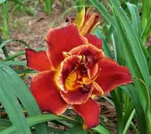 20170613_191830a.webp