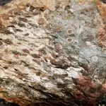 20170807_190328-768x768.webp