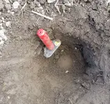 20170527_152739[1134].webp