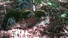 Image2.webp