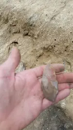 20170607_135314.webp