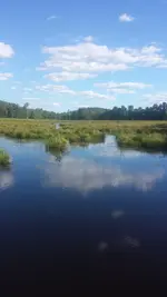 20170730_170421.webp