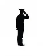 salute1.webp