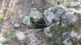 20170506_183704.webp