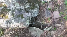 20170506_183722.webp