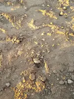 20170614_195908.webp