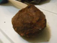 062.webp
