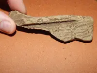 DSCN6708.webp